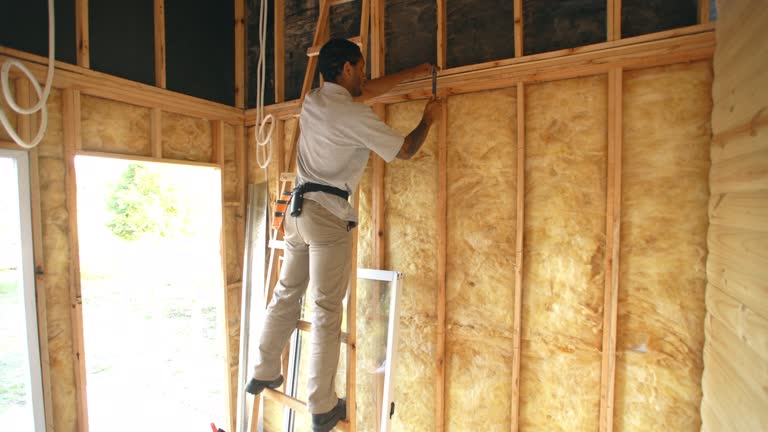 Best Attic Insulation Installation  in Florence, MT